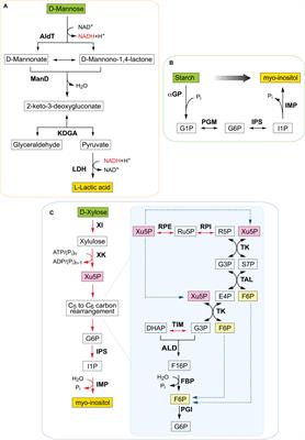 Cell-Free Biocatalysis for the Production of Platform Chemicals